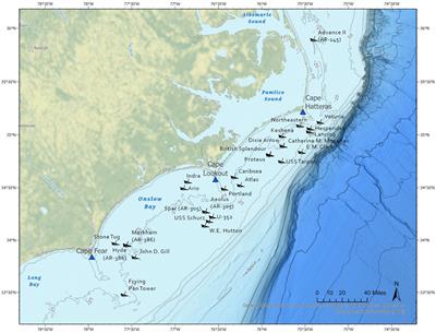 Community science informs movement and reproductive ecology of sand tigers Carcharias taurus off North Carolina, United States of America